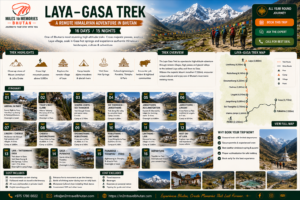 gasa laya